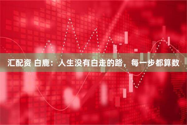汇配资 白鹿：人生没有白走的路，每一步都算数