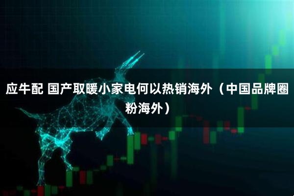 应牛配 国产取暖小家电何以热销海外（中国品牌圈粉海外）